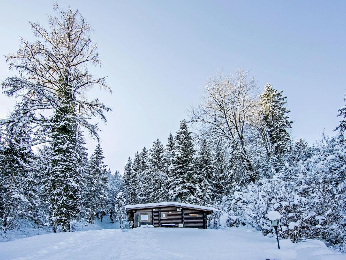 Chalet In Woergl Near Skiwelt Wilder Kaiser Salvenberg Ngoại thất bức ảnh